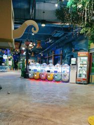 -酷嗒动物文化乐园(cutezoo西溪乐天城店)