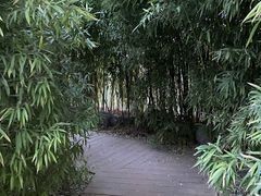 -中国农业大学(西校区)