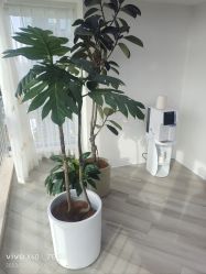 -HEYAN荷妍专业脱毛连锁机构