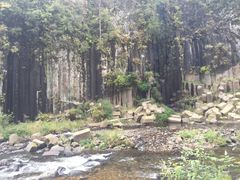 -望天鹅景区