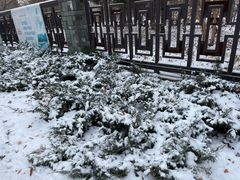 -吉林大学(南岭校区)