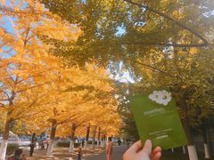 -辽东学院(南校区)