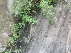 -灵溪风景区