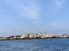 -养马岛旅游度假区