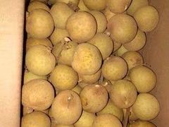 -谊品生鲜折扣店(伟清中环店)