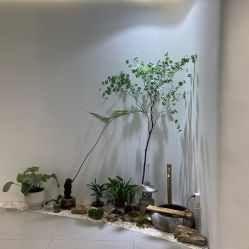 -RUMI日弥美容会所