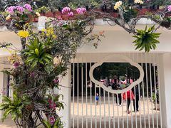 -人民公园(罗湖区)