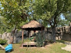 -上海野生动物园