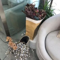 点击看大图 -柒朵科技美肤中心