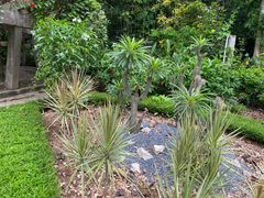 -中国科学院西双版纳热带植物园
