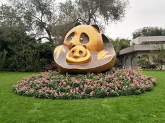 景点-成都大熊猫繁育研究基地