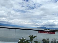 -野菌皇海景野生菌火锅(滨海大道店)