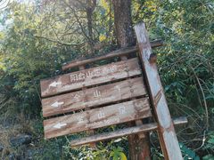 -阳台山自然风景区