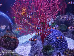 -沈阳海洋探索中心