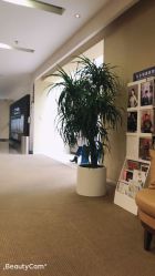 -北京明德医院