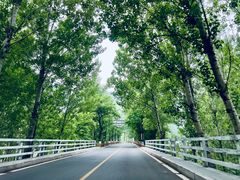 -百里山水画廊