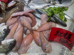 -鱼篮仔·潮汕美食(圆明新园店)