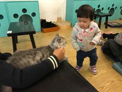 -萌喵宠狗爱心宠咖