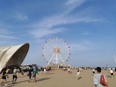 -碧海金沙