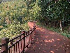 -大余丫山旅游度假区