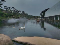 -罗红摄影艺术馆