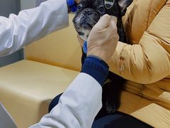 -瑞派申生动物医院·24H夜诊·国际动物医疗中心·骨外科(吴中路店)