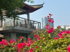 -深圳龙潭公园