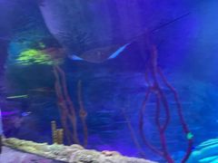 -沈阳海洋探索中心