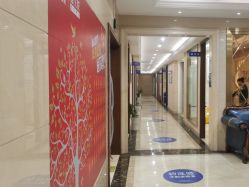 -碧莲盛·不剃发植发