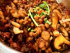 -食神又名厕所兔