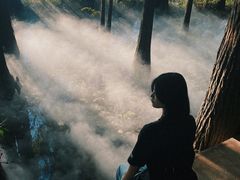 -东湖落雁景区