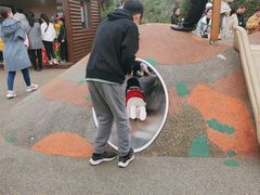 -枫香湖儿童公园