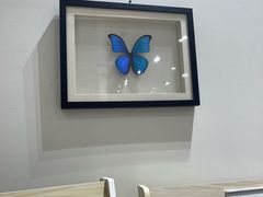 -深圳龙华星河COCO City(民治店)