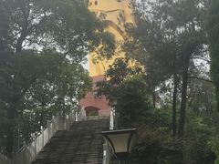 -大金鹰园