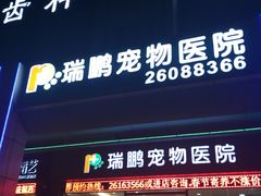 -瑞鹏宠物医院·骨科·猫科·内科(第一中心)