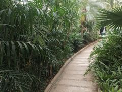 -石家庄市植物园