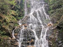 -江西阳明山国家森林公园