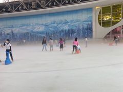 -世界之窗阿尔卑斯冰雪世界