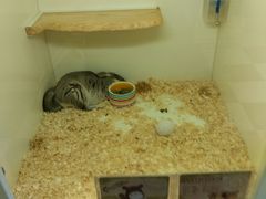 -龙猫仔乐园(惠福东路店)