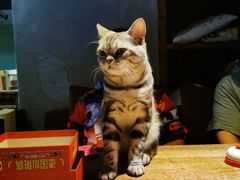 -1984魔法桌游(观音桥店)