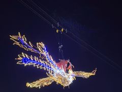 -国际非物质文化遗产博览园