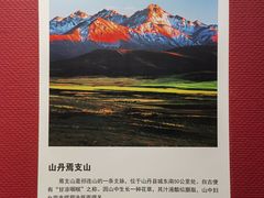 -张掖市博物馆