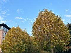 -阿里中心·杭州Z空间