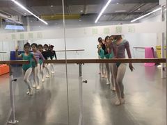 -舞蕾舞蹈·专注中国舞18年(天通苑中心校区)