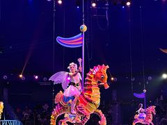 -海合安武汉极地海洋公园