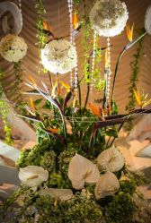 -M'S BANQUET AND SPACE ART