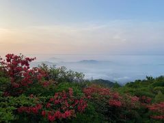 -大围山国家森林公园