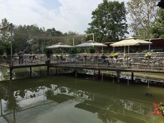 -白鹭湾湿地公园