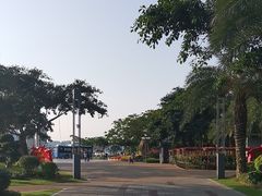 -野狸岛