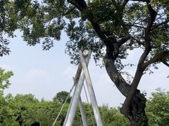 -鹅湖玫瑰文化园